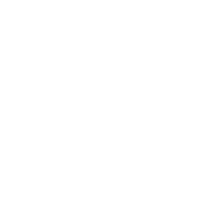 Kongsvegløpet